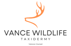 Vance Wildlife Taxidermy