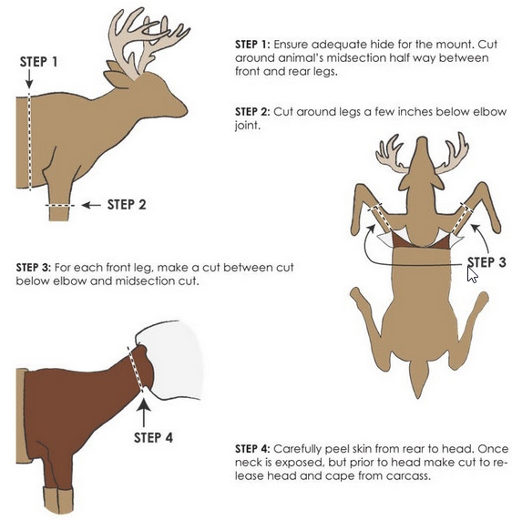 Caping shoulder mount image