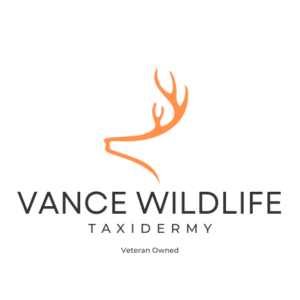 Vance Wildlife Taxidermy Vance Wildlife Taxidermy